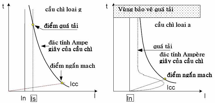 cau-chi-3