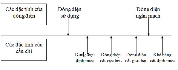 cau-chi-4
