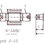 matrutrong4