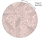 Hình 4