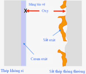 Hình 5