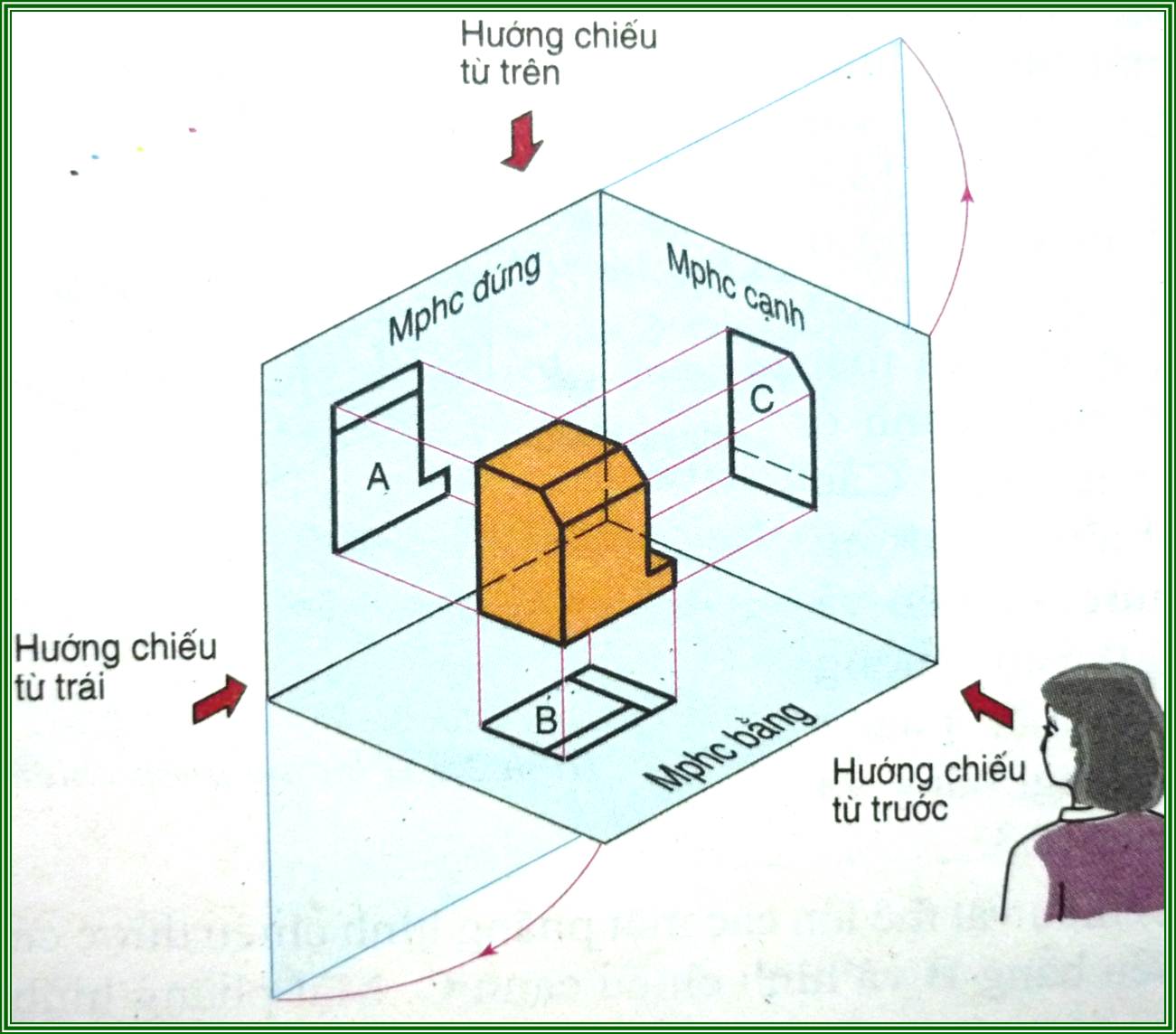 ve-cac-loai-hinh-chieu
