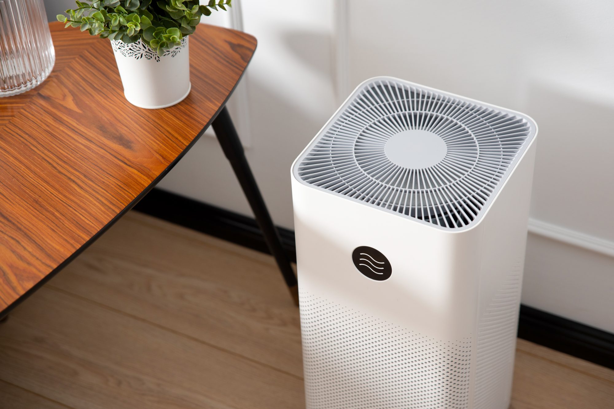 How to Clean an Air Purifier With a HEPA, Disposable, or Carbon Filter | Martha Stewart