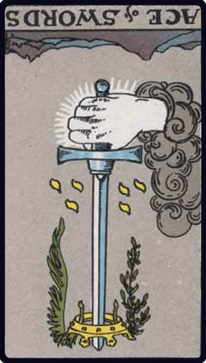 Ý nghĩa lá King of Pentacles Bí mật ẩn sau bộ bài Tarot